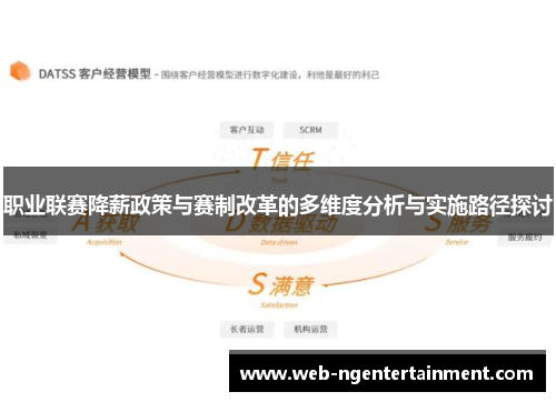 职业联赛降薪政策与赛制改革的多维度分析与实施路径探讨