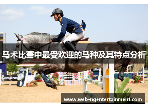 马术比赛中最受欢迎的马种及其特点分析